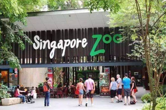 新加坡留學 你永遠都不會知道的關于新加坡的25個冷知識，知道五個算我輸