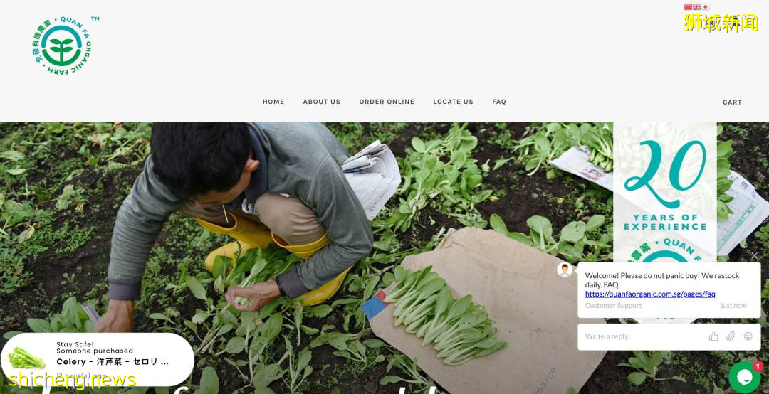 買菜必備!新加坡26個購物平台,解決你所有問題