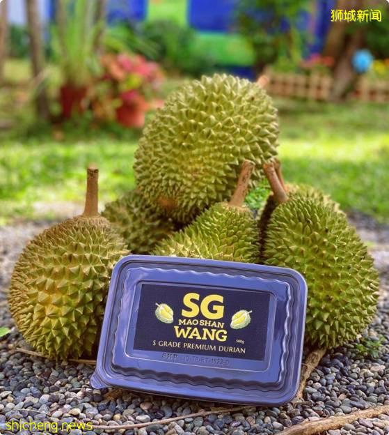 艺人杨志龙Ben Yeo一年创三次业, 这次卖猫山王