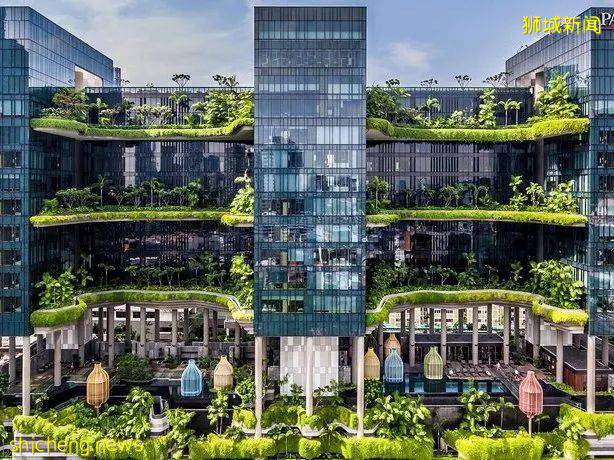 蒸笼一样的学校、积木一样的住宅、花园一样的酒店,就问你这些迷幻设计,你high吗