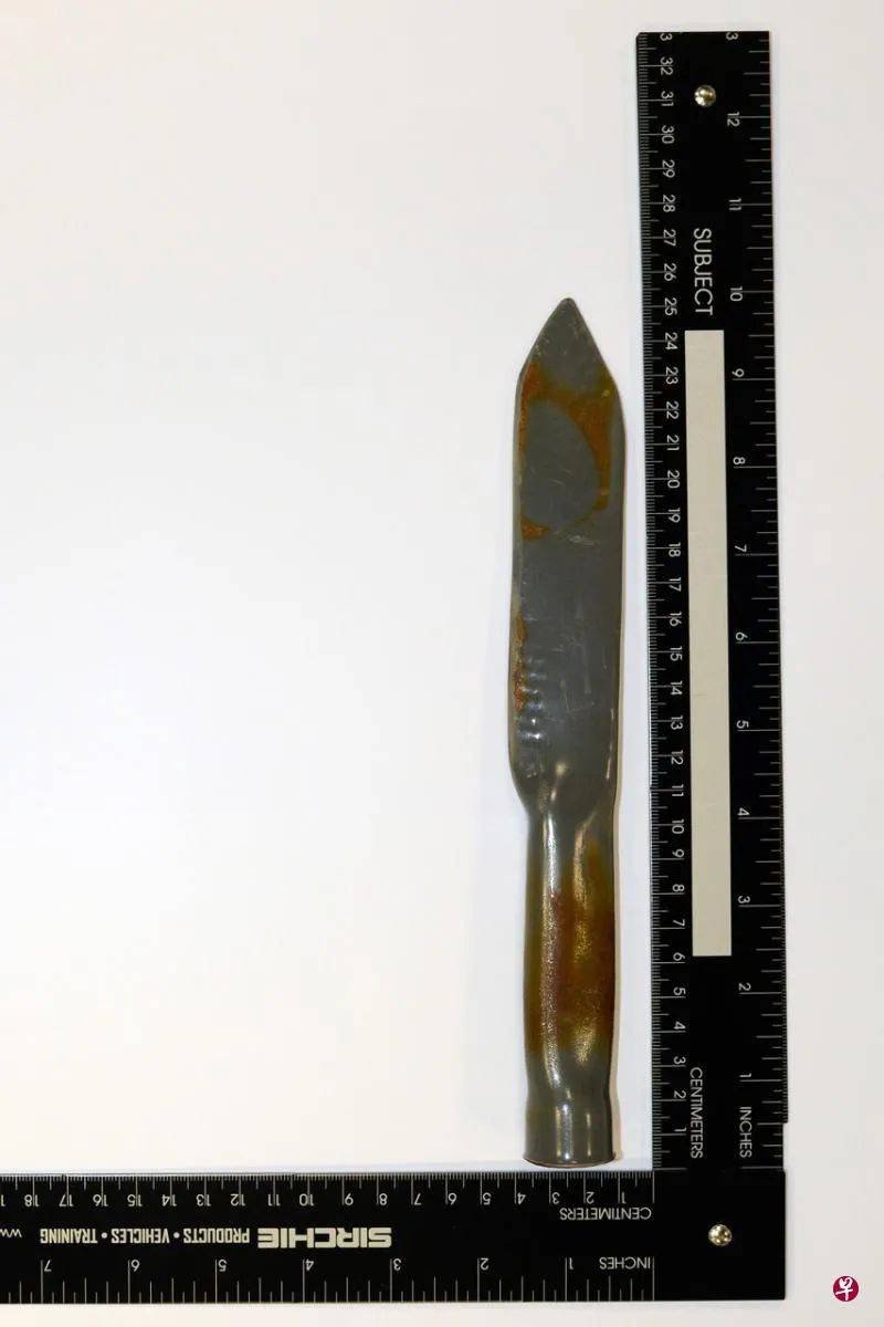 20岁青年计划刺杀新加坡犹太教徒 被内安局拘留