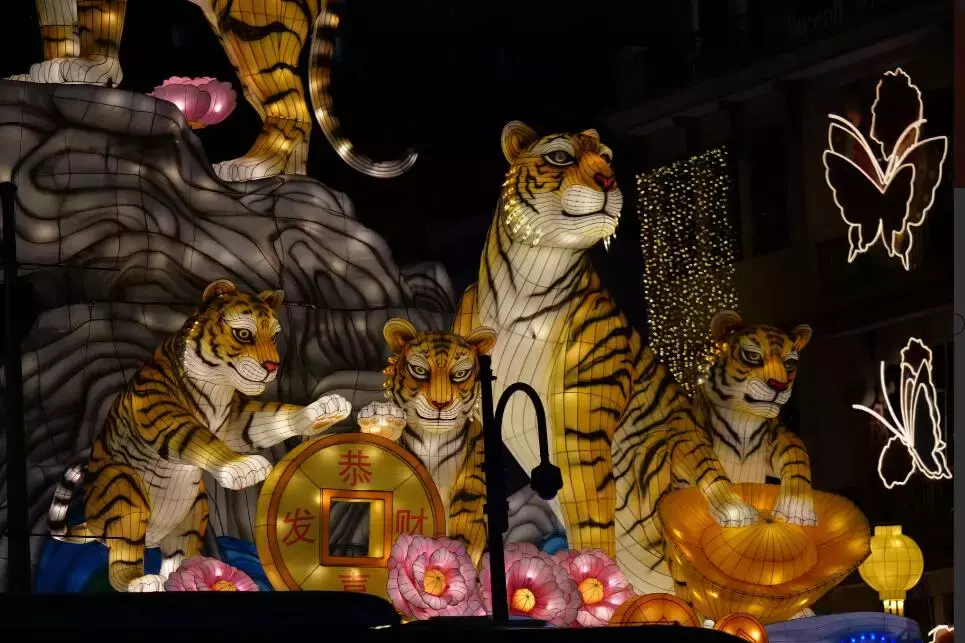 新加坡今年的“虎”點“彪”,居然“妩媚”地對我笑