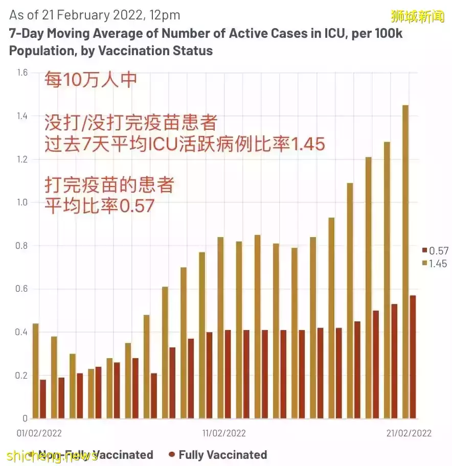 酷航被香港禁着陆！锺南山、新加坡总理夫人都为港发声！部长谈最新防疫计划