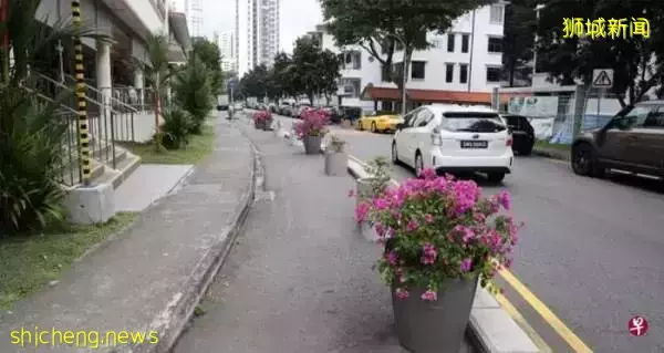 50泊車位被封擺盆栽 攤販喊苦：生意減30%