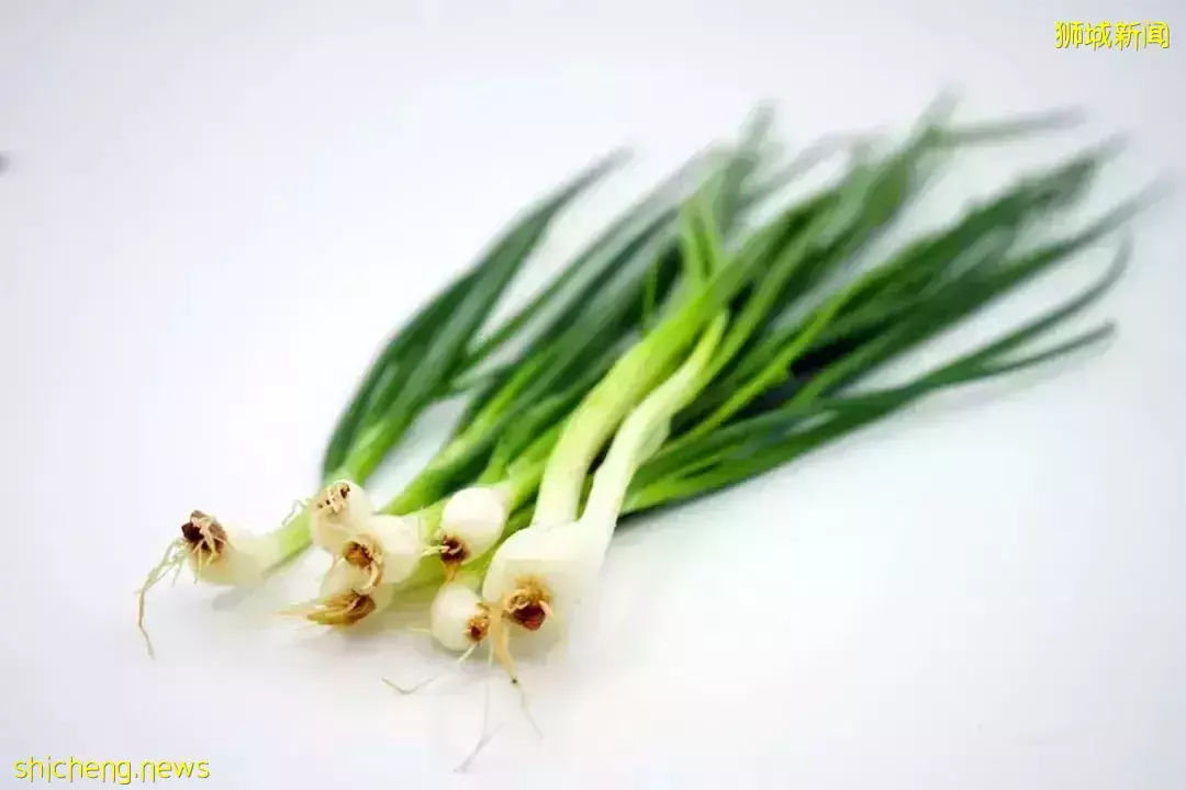 新加坡消费者遭殃,物价猛烈上涨,只因为俄乌战争