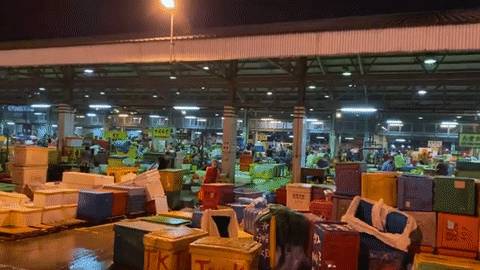 KTV感染群扩大至208人！新加坡最大渔港爆雷传染12家巴刹，鲜鱼要断货！社区疫情或有大爆发