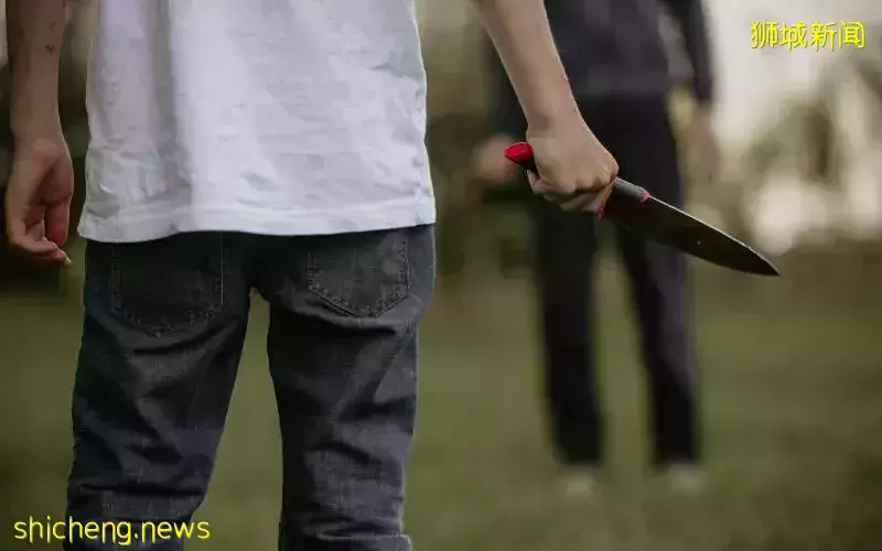 嘲讽反被激怒 青年刀砍老友