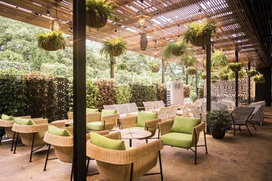 吐血推薦！新加坡27間新開餐廳，去過一半算我輸