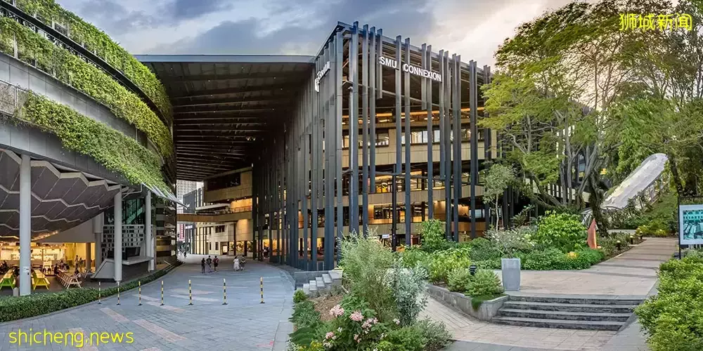 新加坡管理大学,各专业 “本硕博” 的录取要求有哪些