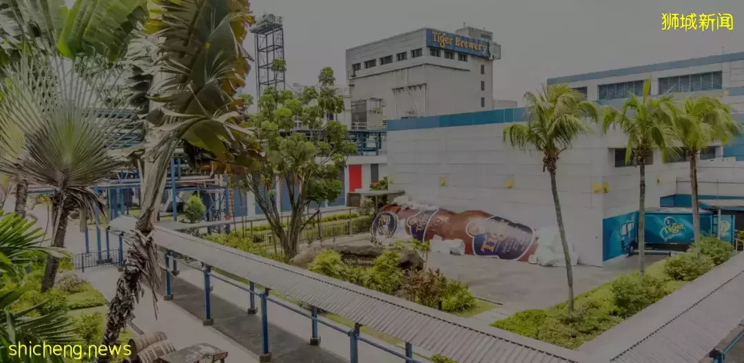 新加坡有个冷门景点,可尝当日最新鲜啤酒,临海眺望马来西亚