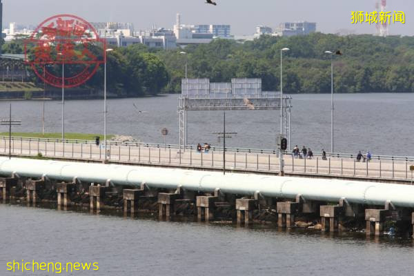 ◤肺炎疫情◢ 留新工作 護照到期 馬勞求助無門 深感被忽視