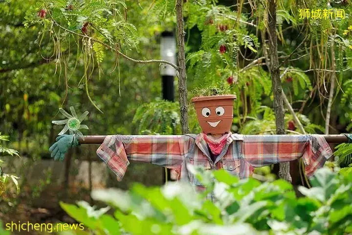 【一日姐妹遊】來新加坡殖民風情“小歐洲”！一起徒步、吃網紅美食，做戶外瑜伽