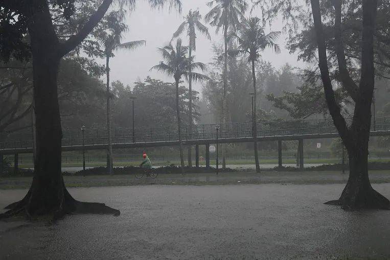 罕見!新加坡聖淘沙這條河變成了粉色,驚現大批死魚!39年創記錄暴雨太作了