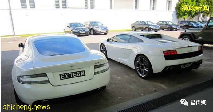 新加坡小但拥有顶级的机场,夏天很热却没有蚊虫,是怎样做到的