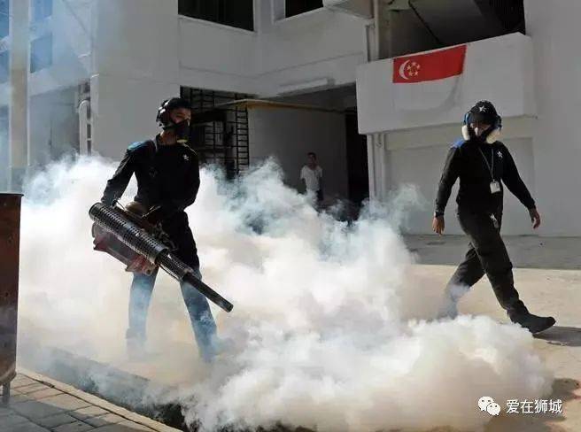 新加坡生活必備實用大全，記得收藏