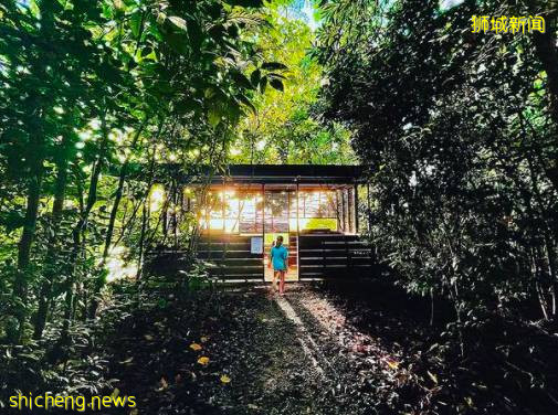 解封後回歸社交生活，有哪些好玩的活動和地點值得一逛？一起來看看吧