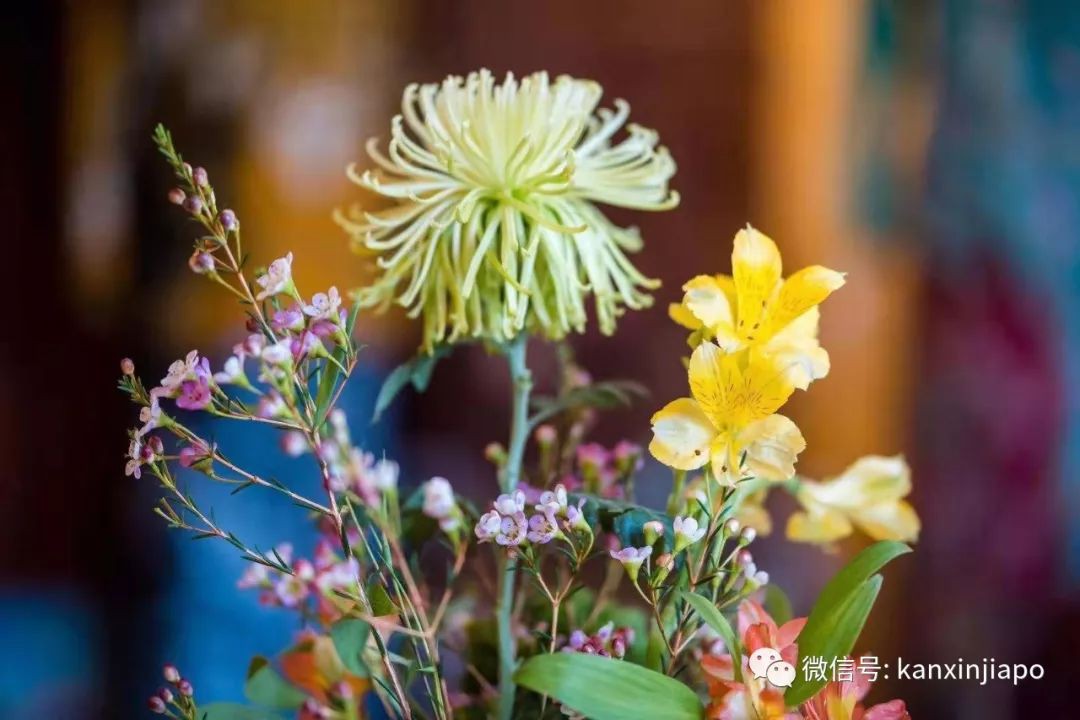 茶,在新加坡代表了什么?