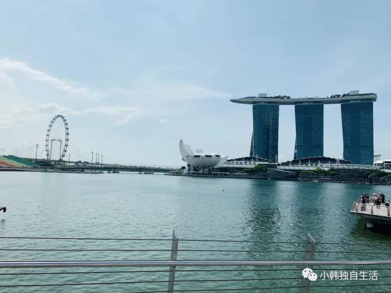 新加坡 從“哈芝巷”步行到“小印度”