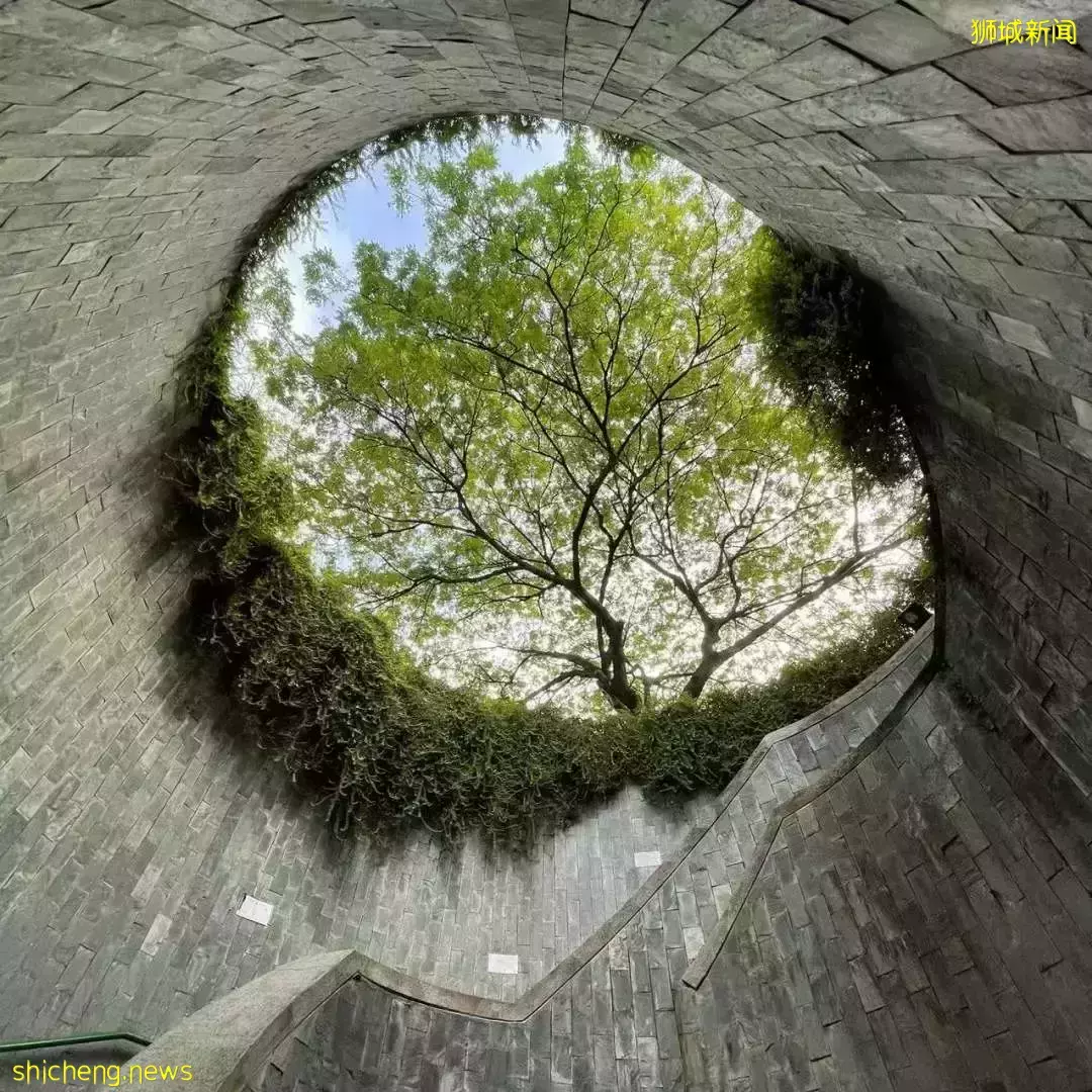 留學新加坡值得一輩子懷念嗎