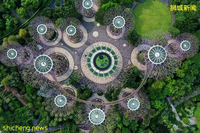 56天病毒阻斷期已過去，這樣空寂的新加坡，你可曾見過嗎!