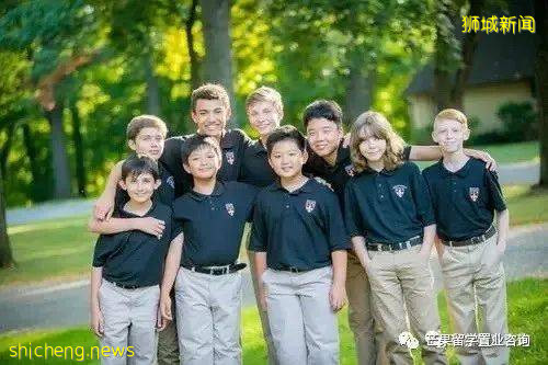 了解新加坡公立/私立/國際學校、理工/藝術/教育模式