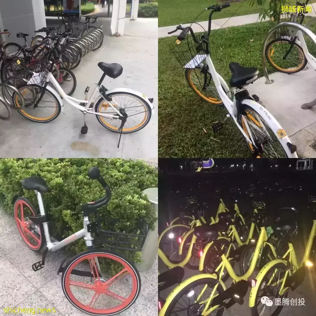 哈啰进军新加坡,搅局已被遗忘的共享单车市场