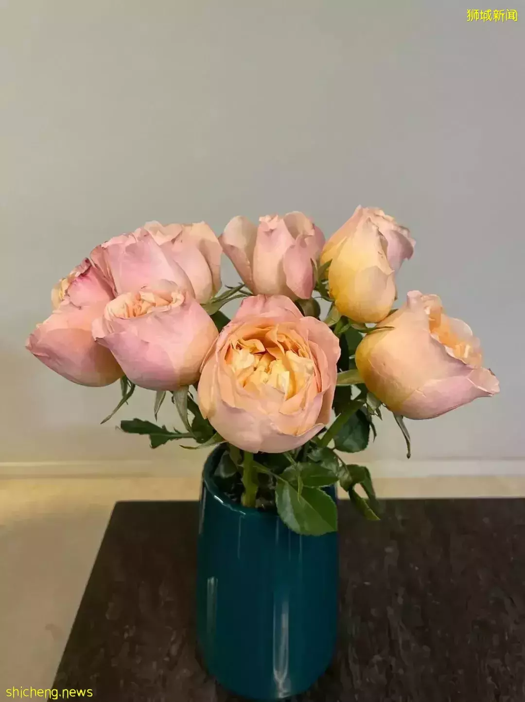 鮮花在熱帶也能養1個月？資深花友新加坡買花、養護大揭秘