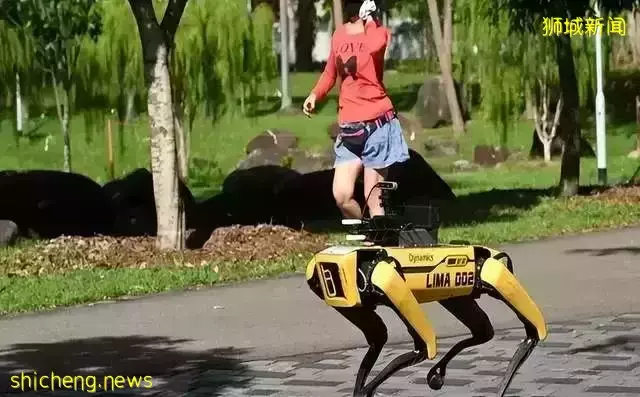 新加坡法律有多严格?学生和工作准证持有者注意!碰到这些情况,在新加坡会被遣返