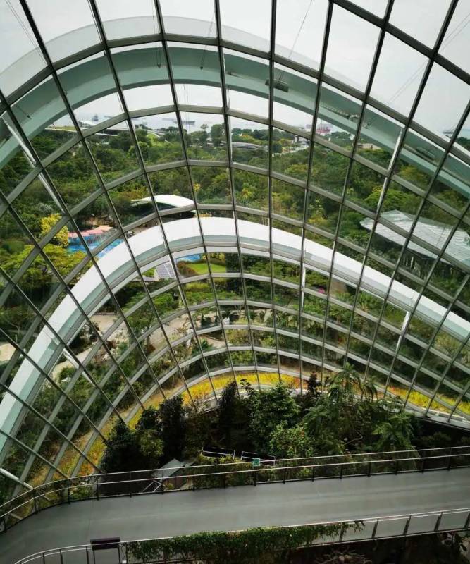 最後悔的一次旅遊經曆:新加坡