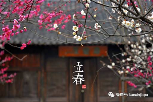 年年立春坡岛人都在做这件事,你还不知道就OUT了