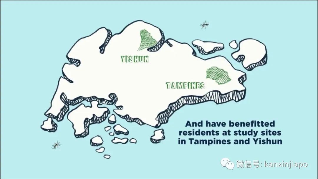 今增XXX 累计YYY | 祸不单行！新加坡爆发史上最严重骨痛热症，死亡人数攀至16人