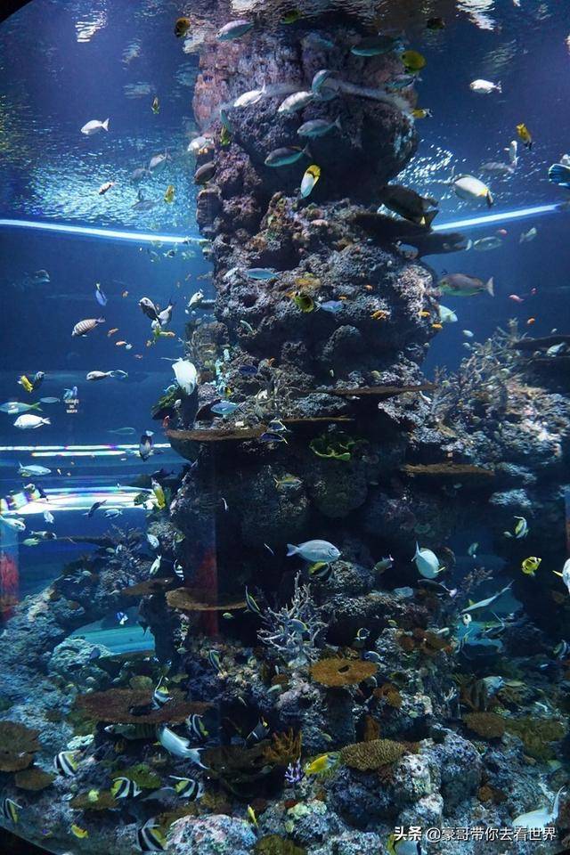 新加坡不枉此行的10大看點（中）分三集介紹