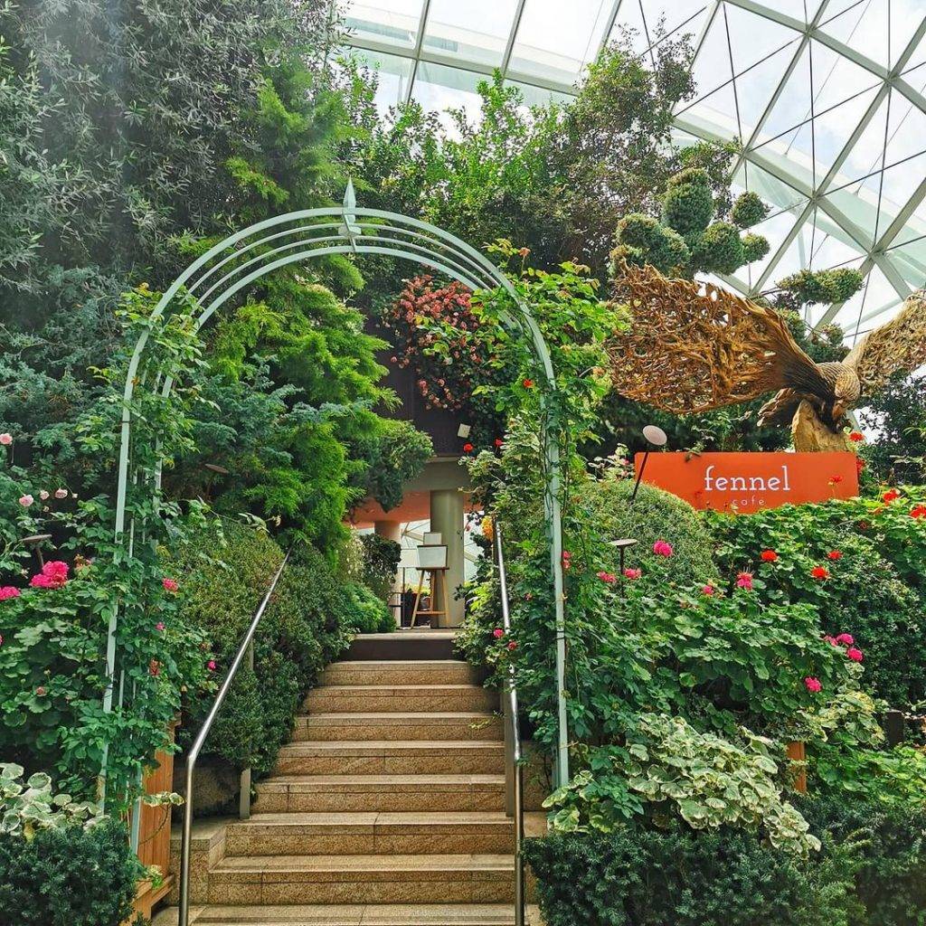 藏匿Flower Dome的花园咖啡馆Fennel Cafe🌹咸甜蛋糕小点心,下午茶人均$45