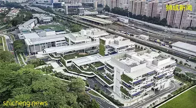 國內國際學校停辦轉型！？國外學習更穩定！新加坡國際學校—留學跳板，孩子未來的起點