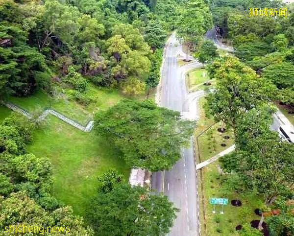 35個最受歡迎新加坡好去處