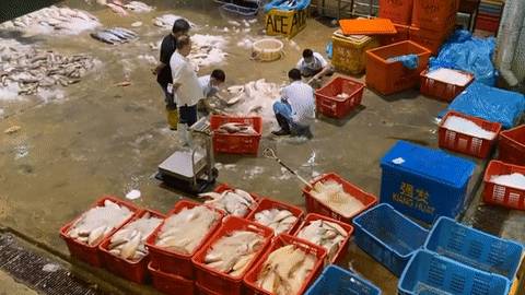 KTV感染群扩大至208人！新加坡最大渔港爆雷传染12家巴刹，鲜鱼要断货！社区疫情或有大爆发