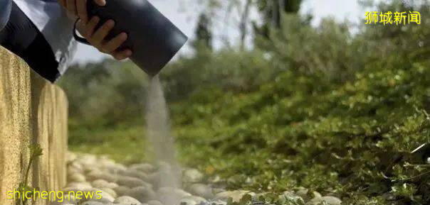 新加坡這個全新骨灰撒土園,太美了