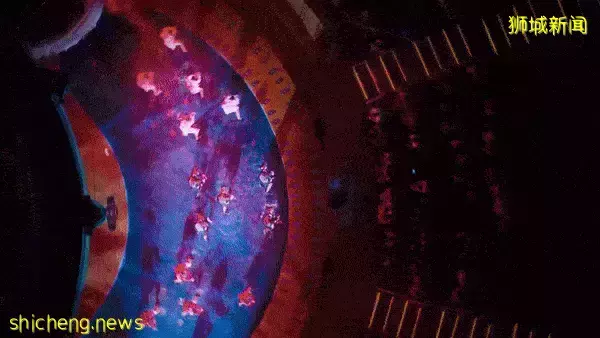 突发!新加坡人气邮轮公司宣布破产?!我买的游玩配套还能去吗