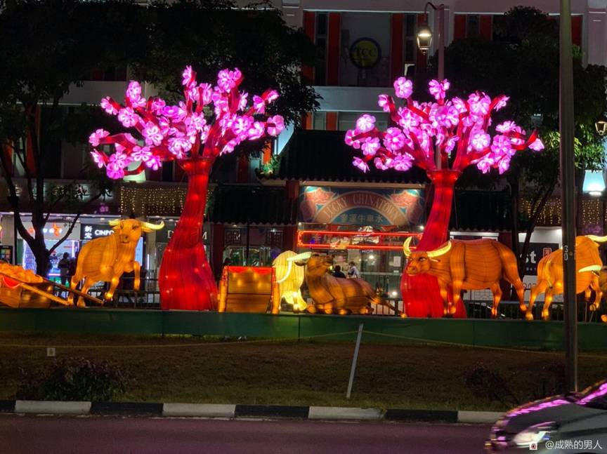滿滿年味～牛車水農曆新年亮點已開啓，牛氣沖天