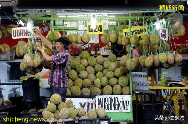 滞销的猫山王榴梿在新加坡正贱卖,可一到中国成贵族