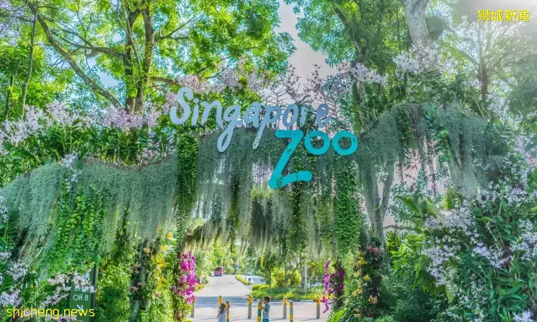 新加坡没狮子为啥叫“狮城”?这些奇奇怪怪的冷知识,你知道吗