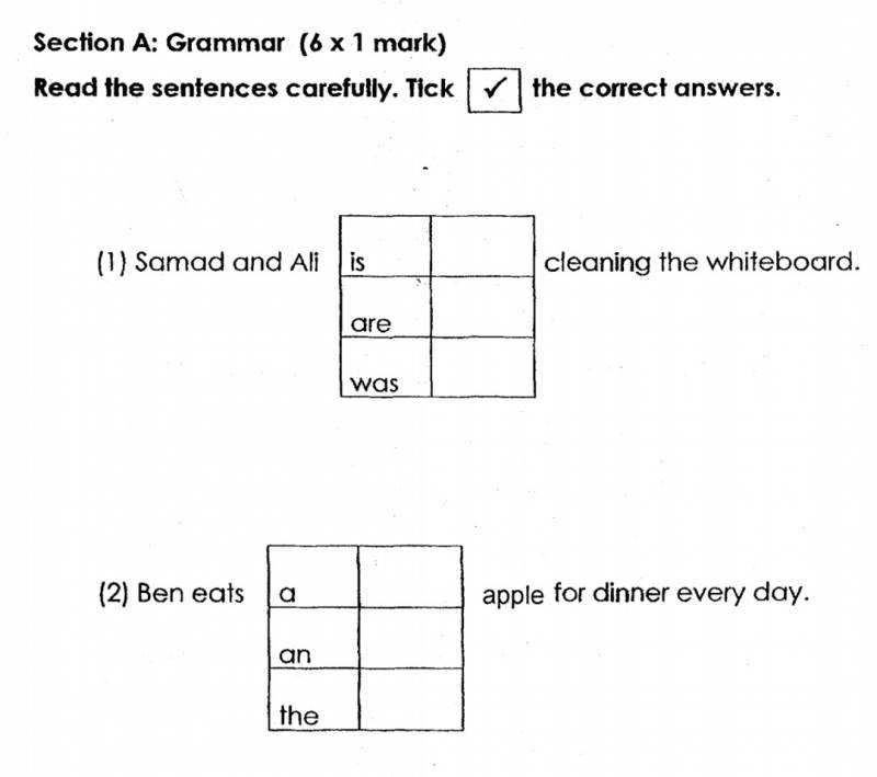 新加坡的小学生原来这么难?深扒小学试卷有多烧脑
