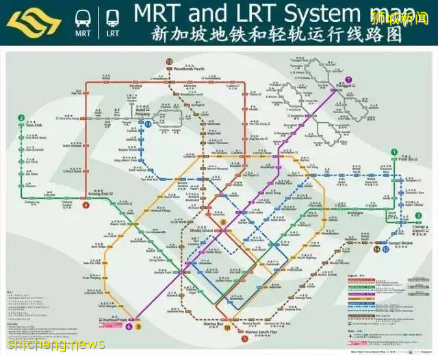 移民新加坡3年後,我居然成了這樣