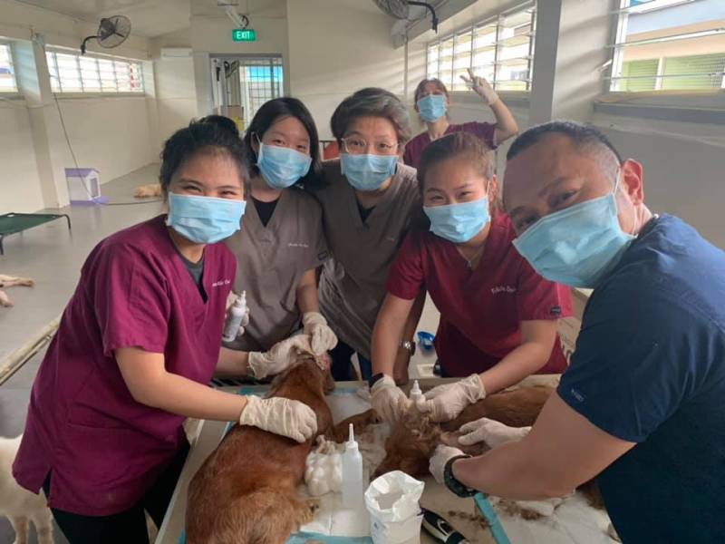 新加坡志愿服务合集!利用闲暇时间,一起来做志愿服务贡献爱心吧