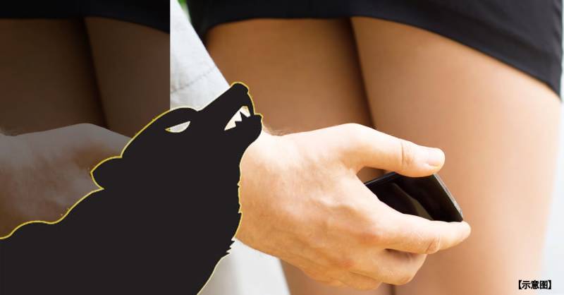 大馬男友變色狼 母女被非禮偷拍