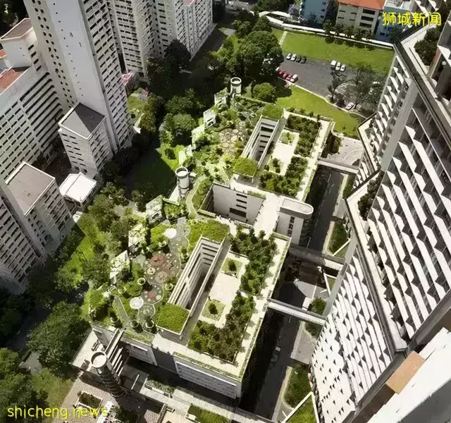 买房也会踩雷,网友:还有人会犯这样的错误