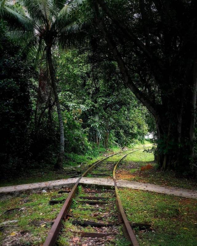 🚥通往裕廊的廢棄鐵路🚞 新加坡隱秘的角落,徒步探險、攝影愛好者秘密基地 🧭