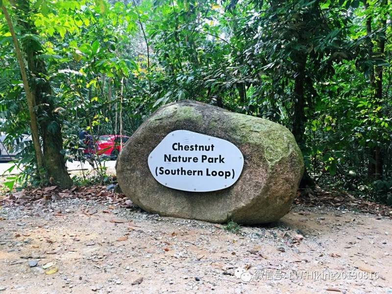 卡迪至山景(丛林探索之旅)