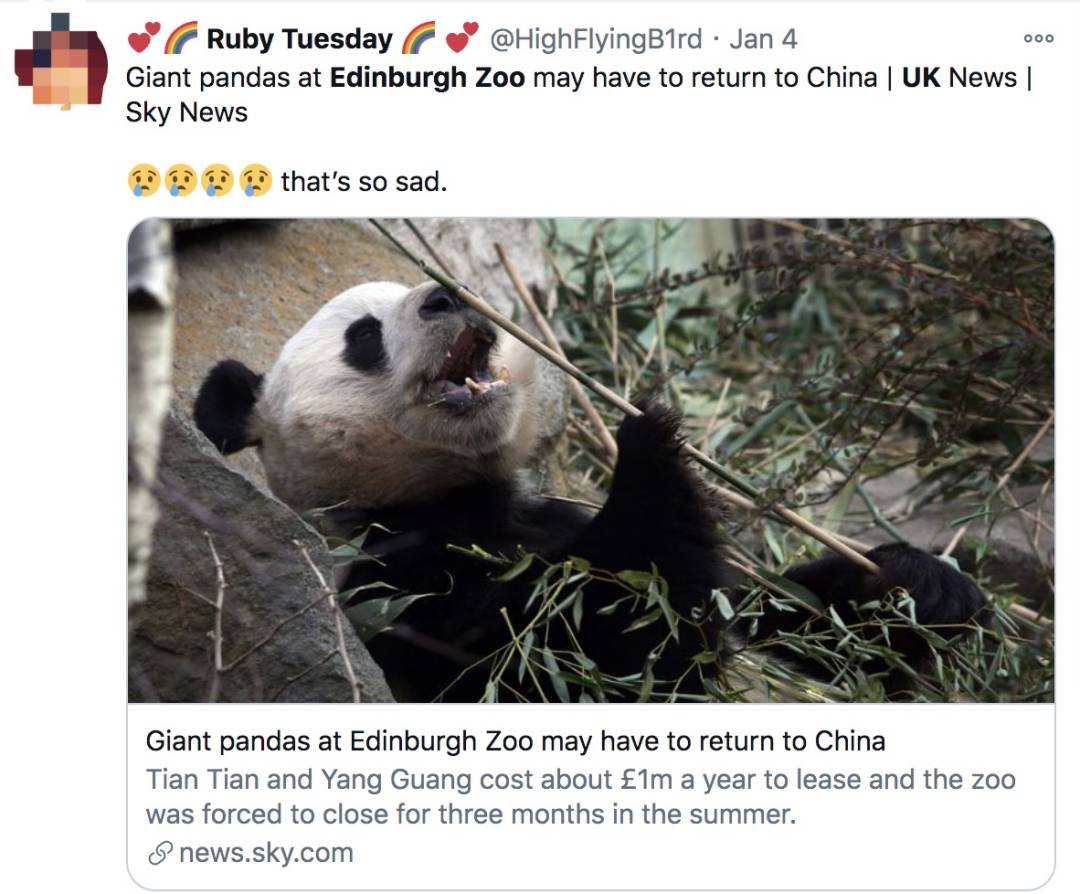 英国计划把大熊猫退回中国,养不起了~“看新加坡的熊猫多好命!”