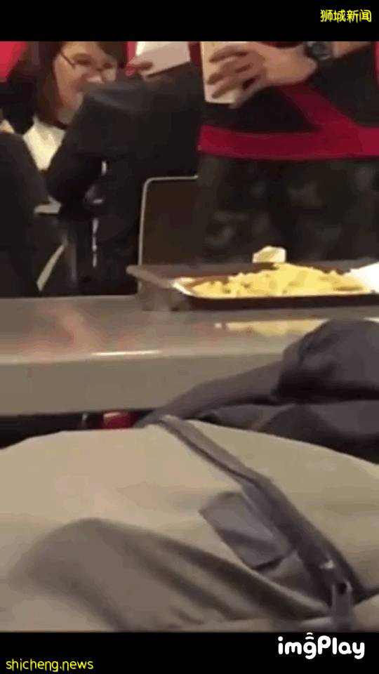 新加坡驚現人臉貓頭鷹！這些恐怖小動物，你碰到過嗎